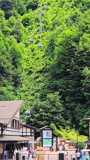 Роза Хутор, канатная дорога, Краснодарский край. Rosa Khuto смотреть онлайн