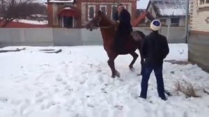 Цыганский прикол