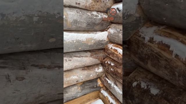 Баня из кело, лучшее решение для строительства #срубба смотреть онлайн