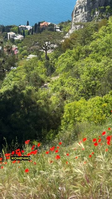 Погода в Крыму сегодня. Море прогревается. Симеиз гора Кошка #крым #ялта #крым2025 смотреть онлайн