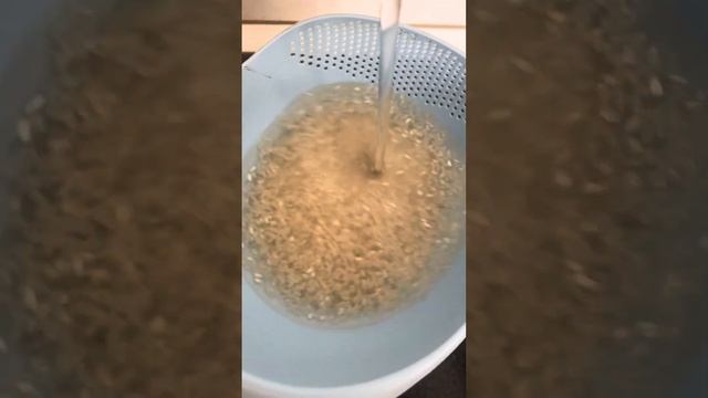 СЕМГА В ДУХОВКЕ / АЛБЫРТ БАЛЫҒЫ смотреть онлайн