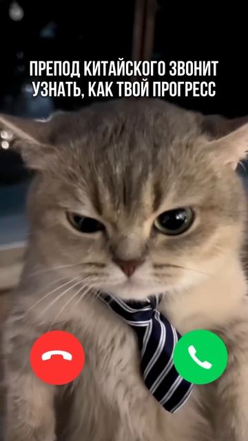 Ответишь? #китай #китайскийязык #китайский