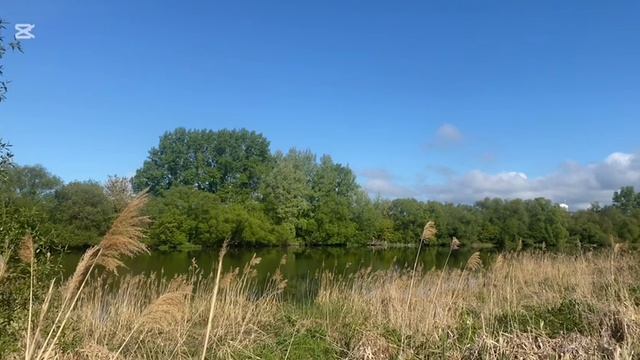 природа смотреть онлайн