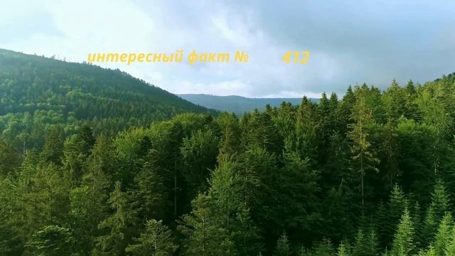 Интересный Факт № 424 смотреть онлайн