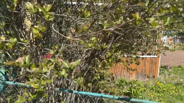 Обзор дачного дома рядом с курортом Нижне-Ивкино, Киро смотреть онлайн