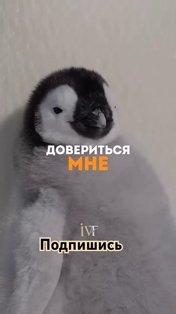 Давайте будем благодарны за все что у нас есть #allahuakbar # смотреть онлайн