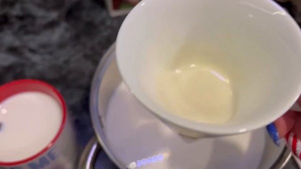 Йогурт по методу доктора Берга с РЕУТЕРИ