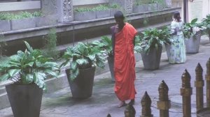 Над вершинами / Шри-Ланка