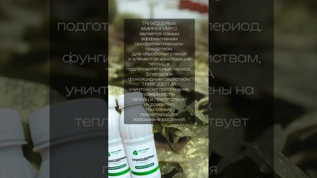 Уборка и дезинфекция теплицы #дача #сад смотреть онлайн