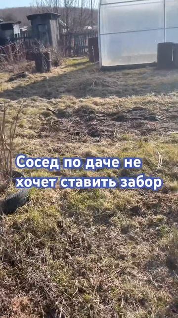 Сосед по даче не хочет ставить забор как быть? #дача #со смотреть онлайн
