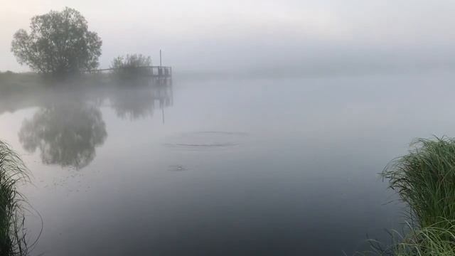 ЗАВТРА НАЧИНАЕТСЯ ЛЕТНЯЯ РЫБАЛКА смотреть онлайн