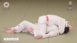 Татэ шихо гатамэ