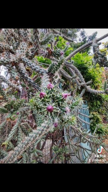 Уходят люди и грустят дома... 🌀🌀🌀 смотреть онлайн