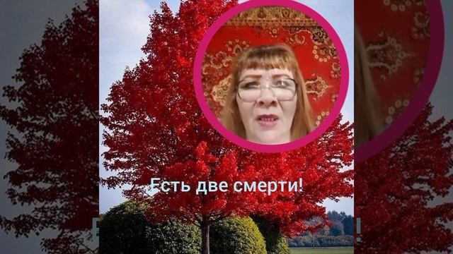 Бог есть дух!#Покояние#Вера##переходите в группу телег? смотреть онлайн