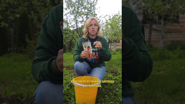 Опасный вредитель лишает вас урожая, если появились эти симптомы! Чем обработать яблони и груши смотреть онлайн