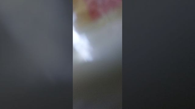 Обзор на холодильник 4 сезон 4 серия