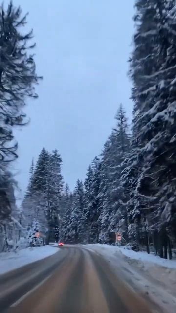 Зимняя сказка #дорога #кавказ #путешествия смотреть онлайн