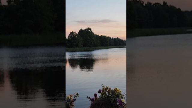 Купальскія песні досвіткам пасля танцаў у купальскаг? смотреть онлайн