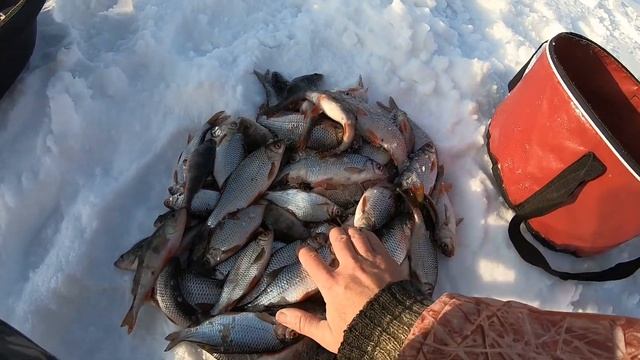 отчеты о рыбалке за 21.03 давненько так не ловили!) зимня?