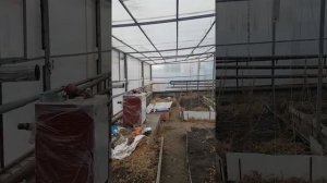 Строим отопления в теплицу
