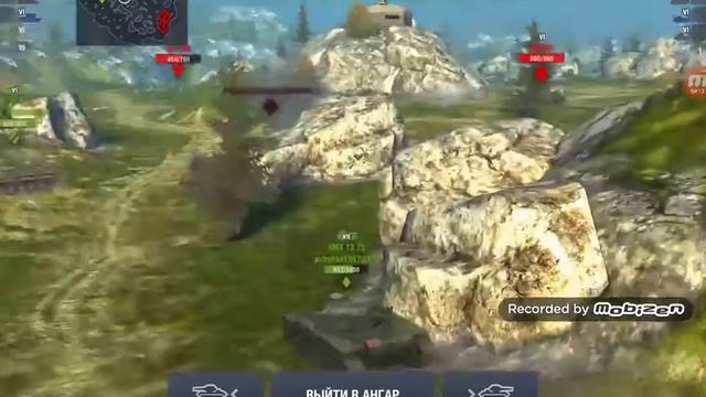 Шпиц и золото