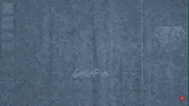 Смешные кошки 3 часть смотреть онлайн