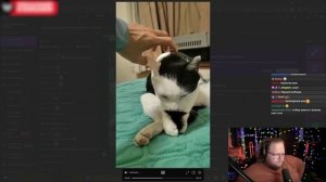 T2X2 ПЫТАЕТСЯ не ЗАСМЕЯТЬСЯ с ТИКТОКОВ ПОДПИСЧИКОВ