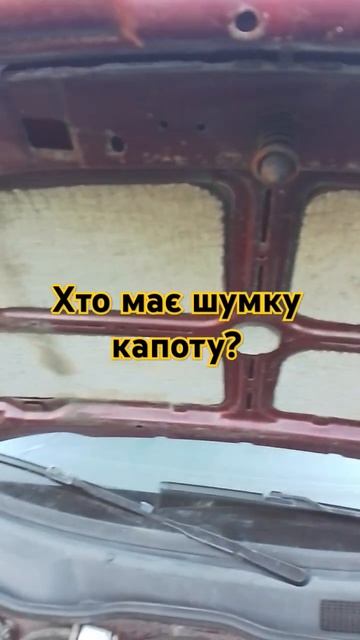 opel astra g sedan шумка капоту #shortsfeed #shortvideo #shortsyoutube #shorts #short #s смотреть онлайн