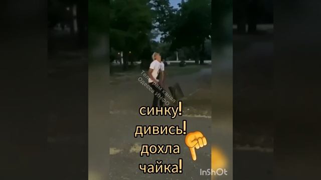 Одесса ЛЕТО НОВОСТИ И ПРИКОЛЫ 18+ СТРОГО! смотреть онлайн