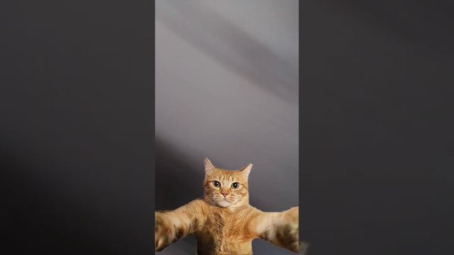 13 февраля 2025 г. смотреть онлайн