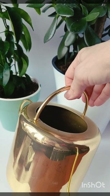 Лейка. Латунь смотреть онлайн