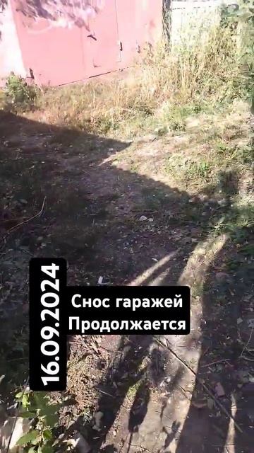 Снос гаражей продолжается #shorts #абзурд68 #2024 #тамбов #об? смотреть онлайн