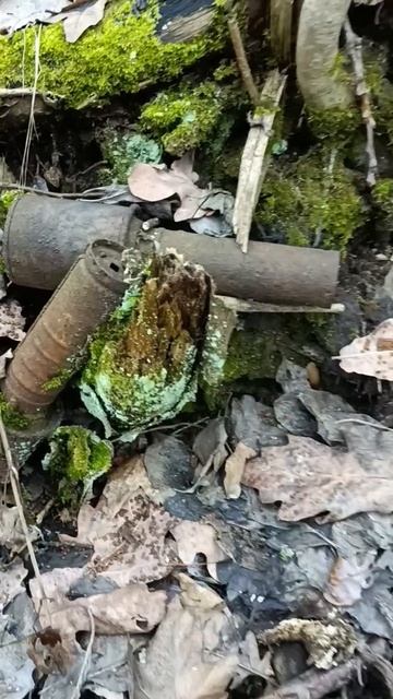 ручная граната ВОВ #shorts #history #ww2 #коп #вов #история смотреть онлайн