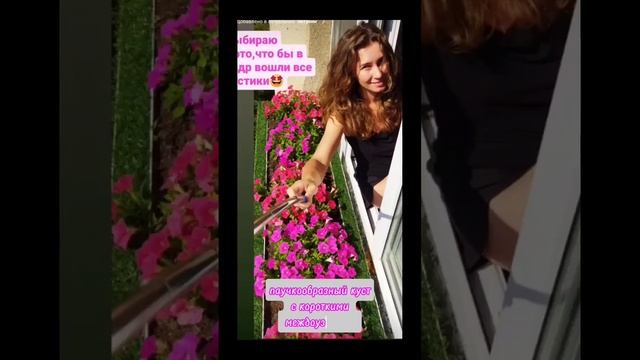 Петуния Шок Вэйв Rose (Роузмэри от Партнёр) смотреть онлайн