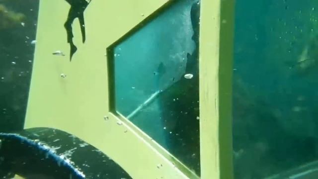 Helmet diving. Оля с мужем. смотреть онлайн