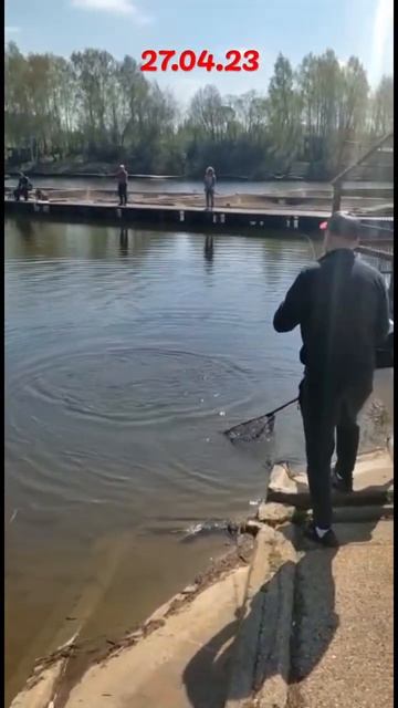 РК Савельево