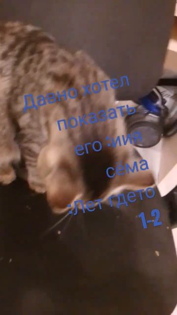 не ну могло вообще быть 1 видимо но я передумал смотреть онлайн