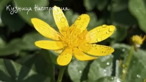 11 апреля День Берещенье. Что нельзя делать 11 апреля Де?