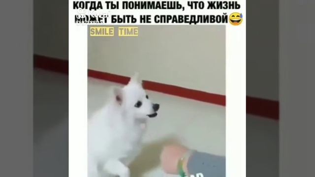 Когда понимаешь что жизнь может быть не справедливой смотреть онлайн