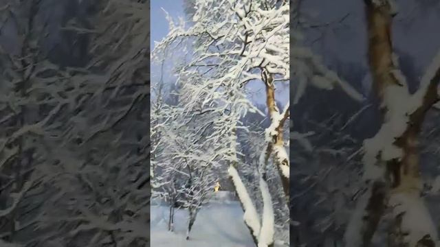 Снежная красота .1 февраля 2023 г.Мурманск."Романтика" Гр? смотреть онлайн