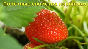 🍓КЛУБНИКА – ПОЛЬЗА И ВРЕД! 🍓Как правильно кушать кл?