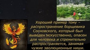 Грядущий царь. Возможные причины появления ГЦ