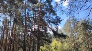 Путь к «успешному успеху» или самостоятельное планирование
