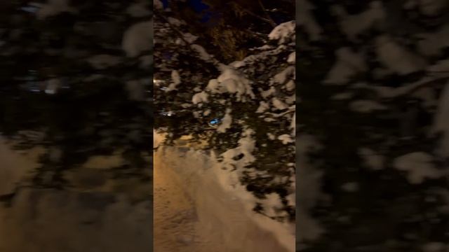 Южно-Сахалинск 31.01.24 #южносахалинск #сахалин #чеховскв? смотреть онлайн