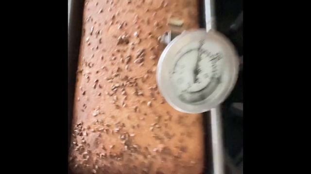 Выпечка ржаного хлеба после холодильника. смотреть онлайн