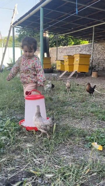 Очень забавное видео, Айза показывает свою попку куро? смотреть онлайн