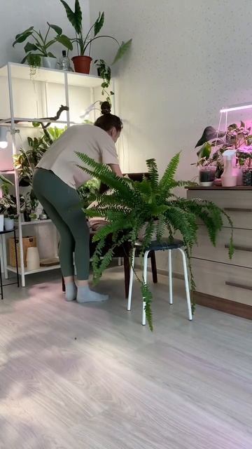 Обустраиваю свой зелёный уголок. Заглядывай, чтобы по? смотреть онлайн