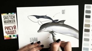 Учимся рисовать морских обитателей