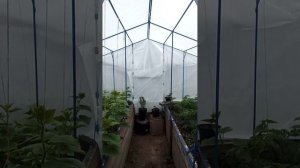 Специально для Комбата. Испытание каркаса теплицы жен