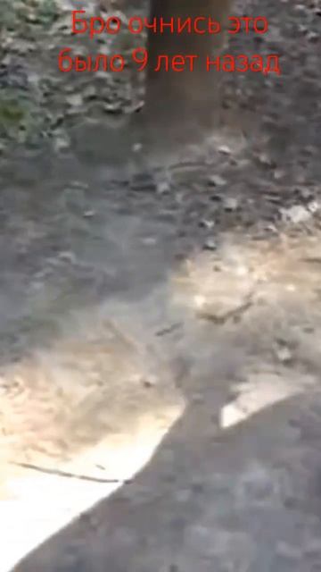 это же надо быть таким олдном смотреть онлайн